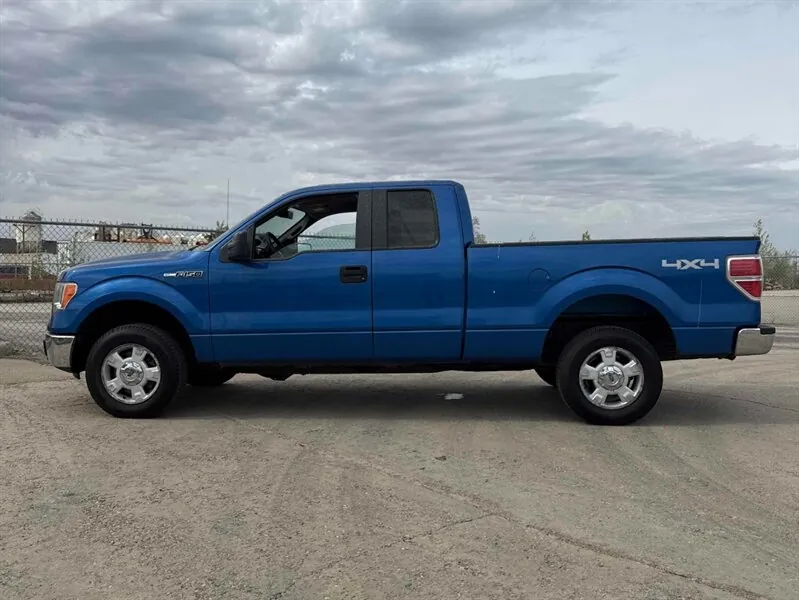 Ford F-150 2010 photo 3