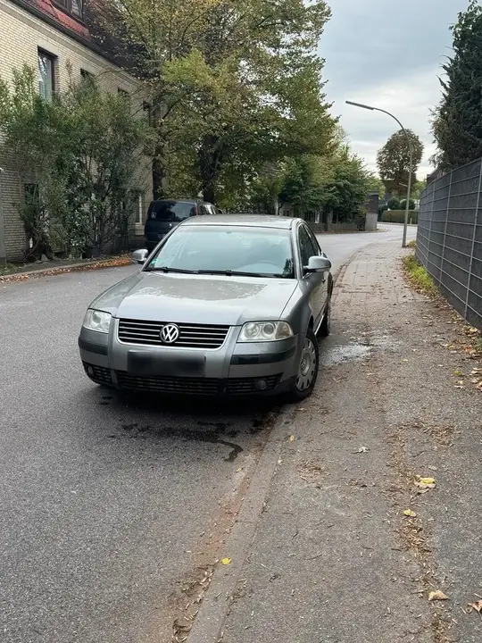 Volkswagen Passat 3Bg
