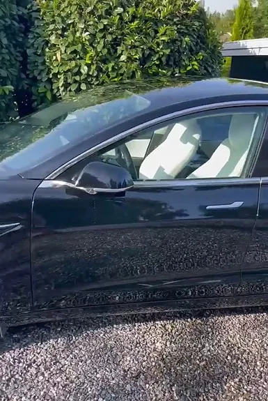 Tesla Model 3 2020 photo 4