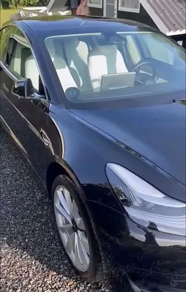 Tesla Model 3 2020 photo 5