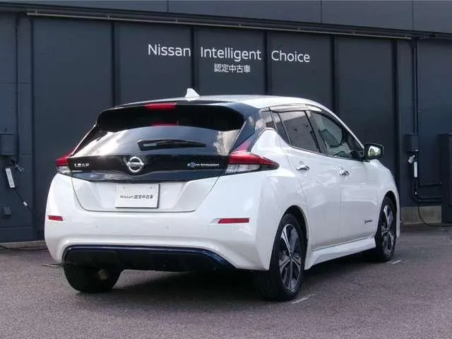 Nissan Leaf 2020 photo 2