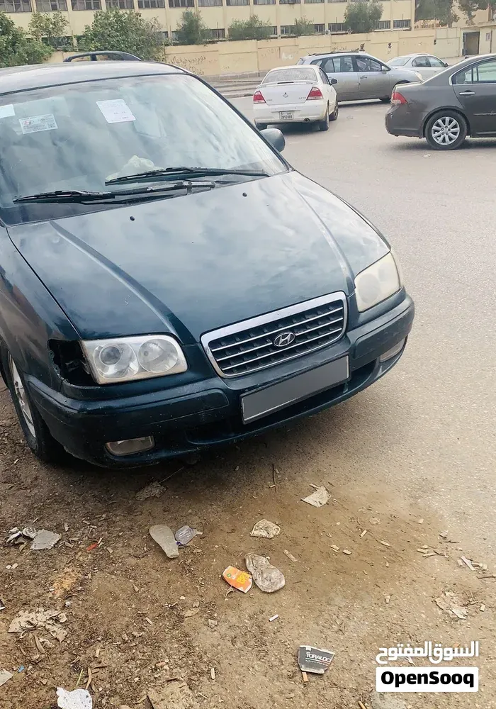 Hyundai Trajet 2002 photo 3