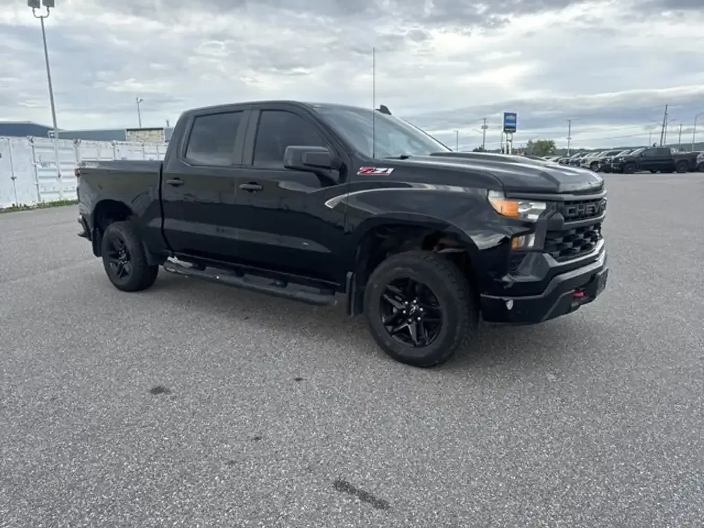 Chevrolet Silverado 1500 2022 photo 2