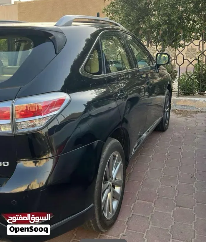 Lexus Rx 300 2013 photo 2