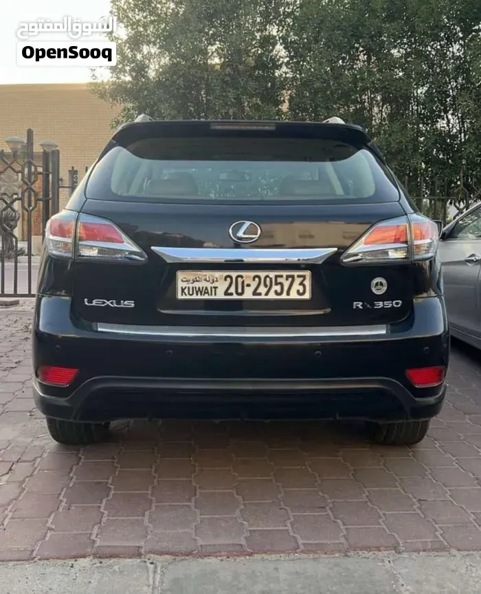 Lexus Rx 300 2013 photo 4