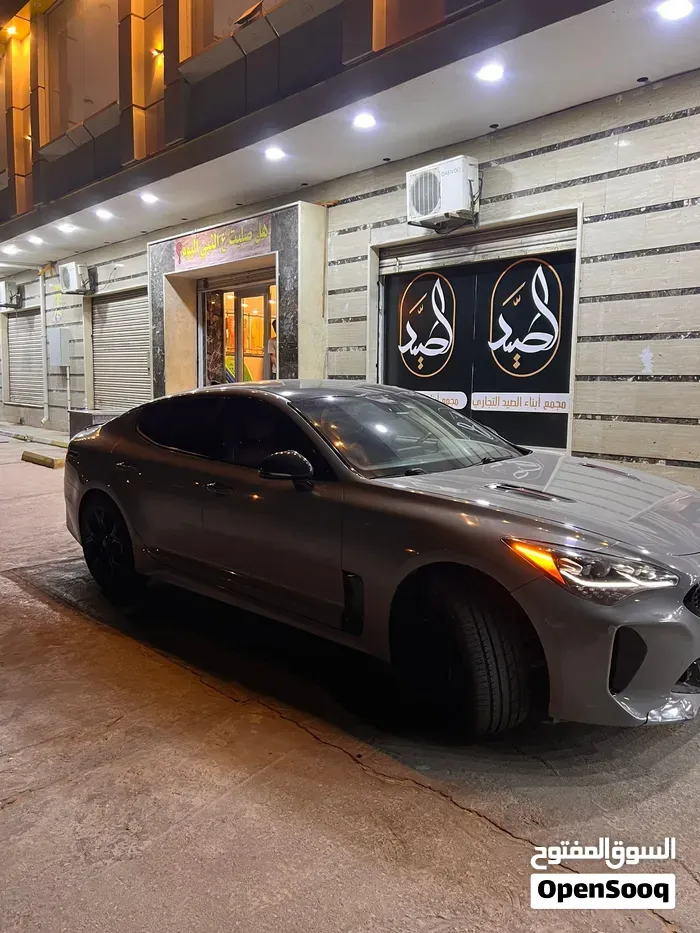 Kia Stinger 2019 photo 4