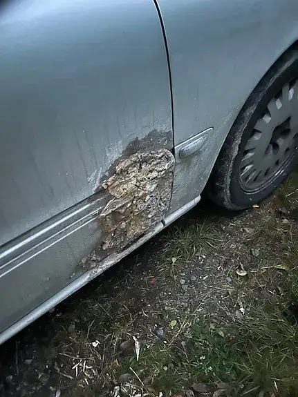 Volvo V70 2005 photo 4