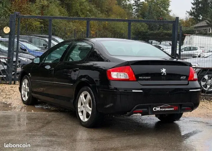 Peugeot 407 2010 photo 2