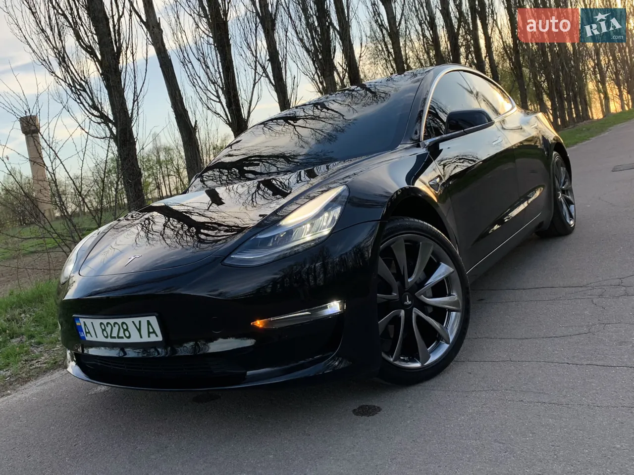 Tesla Model 3 2019 photo 5