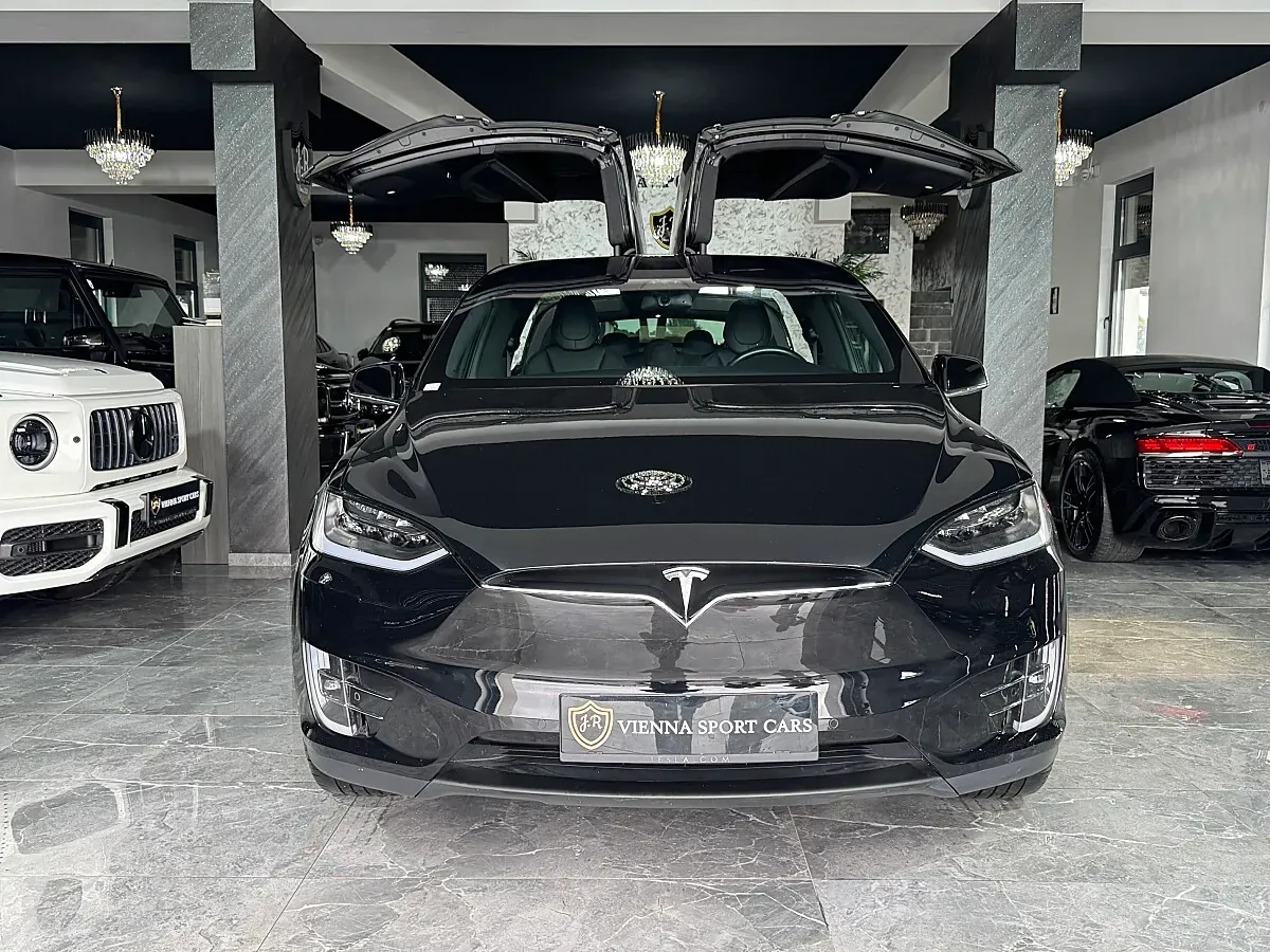 Tesla Model X 2019 photo 3