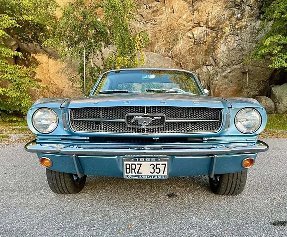 Ford Mustang 1965 photo 2