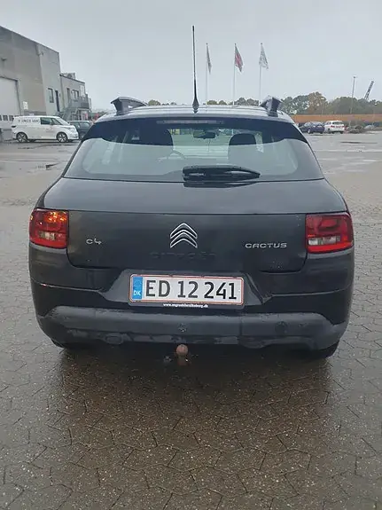 Citroen C4 Cactus 2015 photo 4