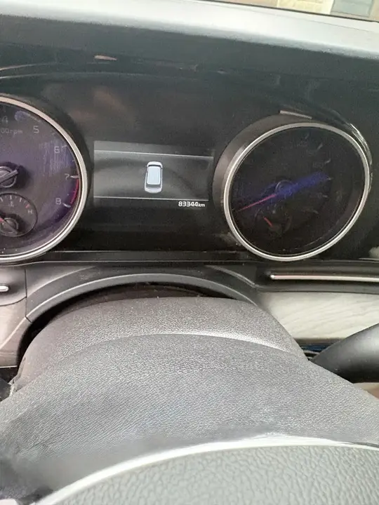 Kia Carnival 2024 photo 4
