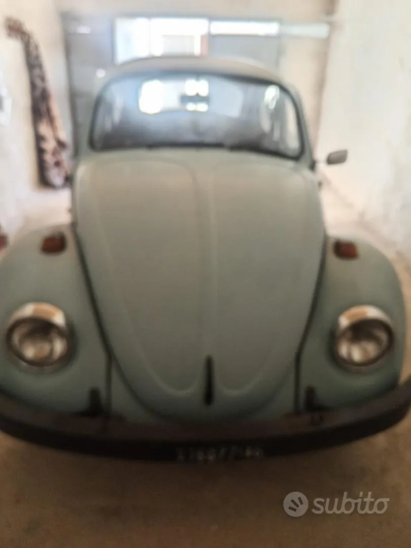 Volkswagen Maggiolino