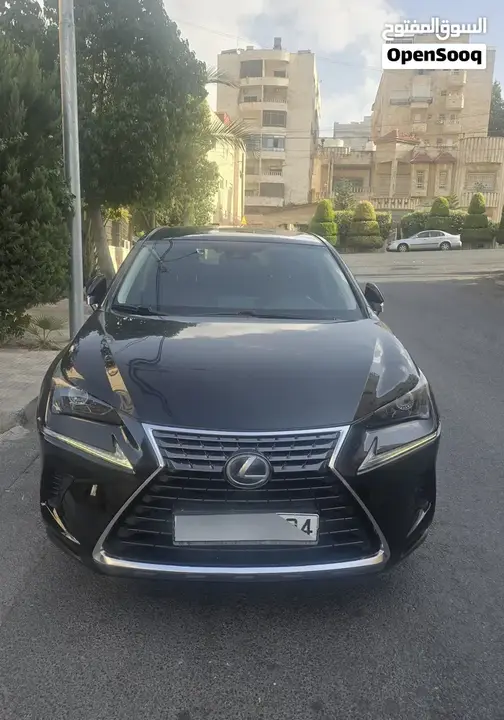 Lexus Nx 2019 photo 3