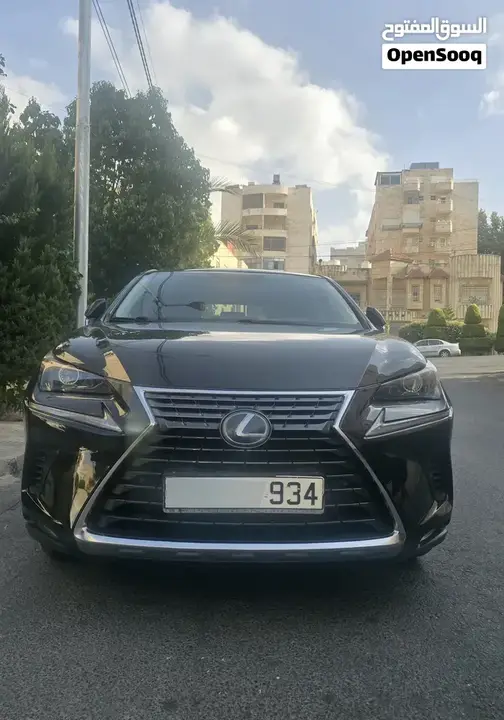 Lexus Nx 2019 photo 2