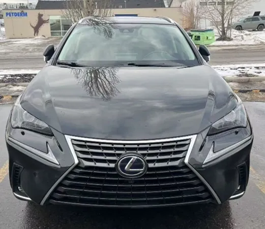 Lexus Nx 300H 2021 photo 2