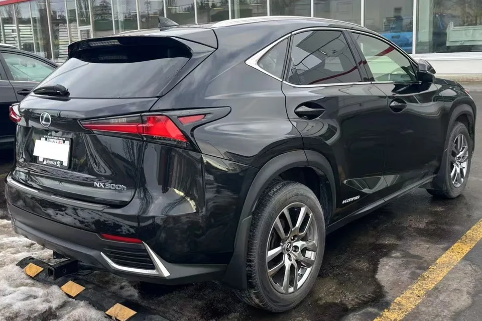 Lexus Nx 300H 2021 photo 3