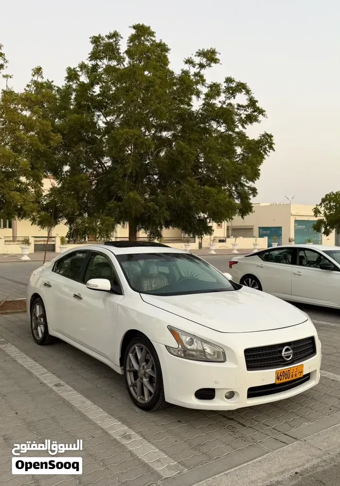 Nissan Maxima 2011 photo 3