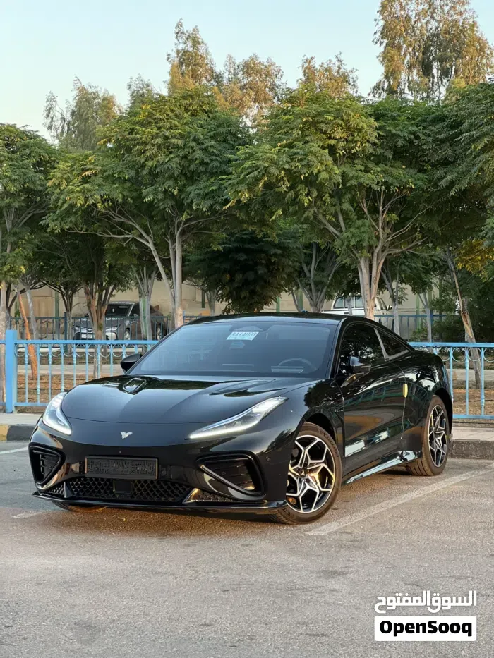 Neta Gt