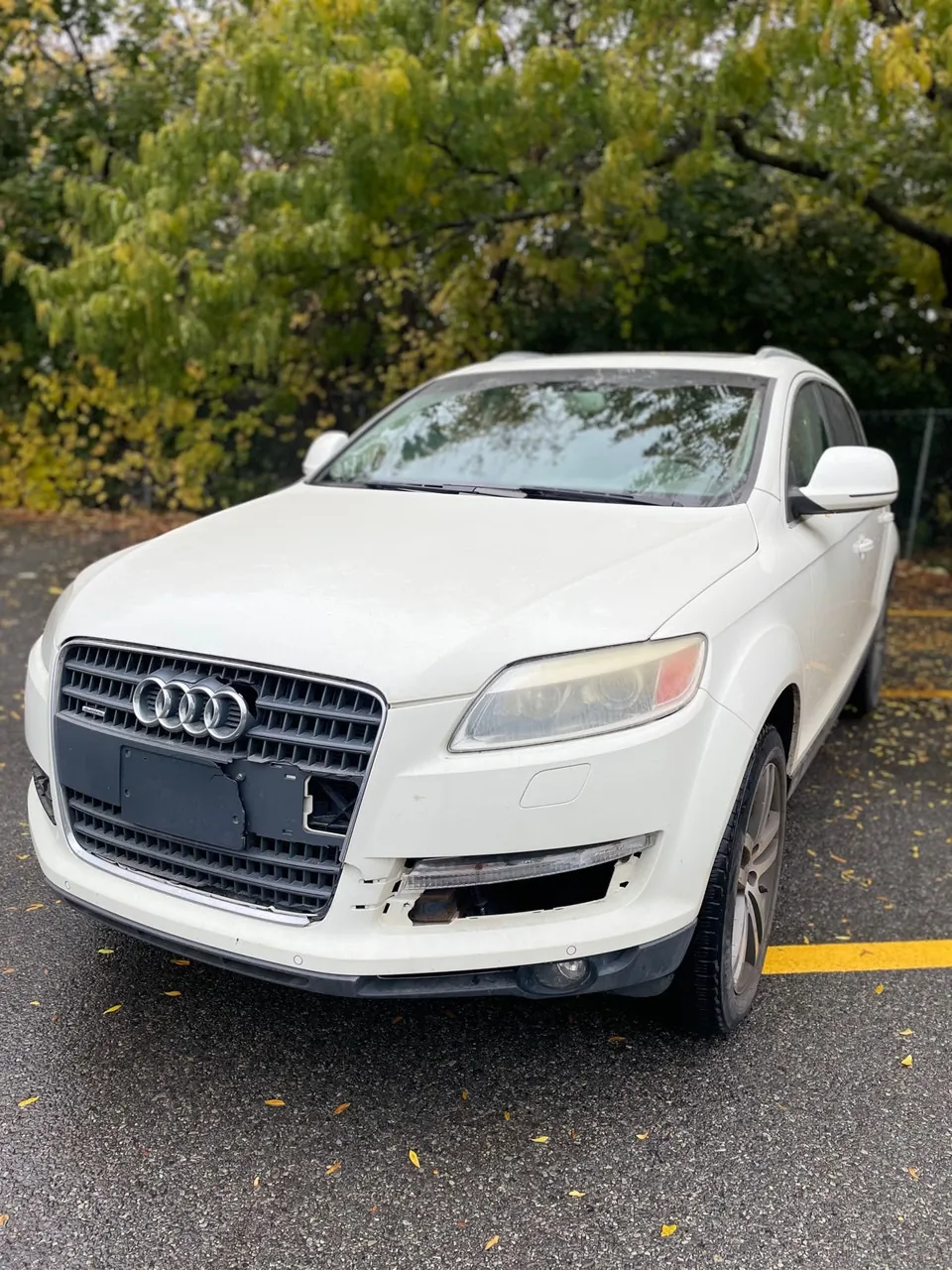 Audi Q7 2009 photo 2
