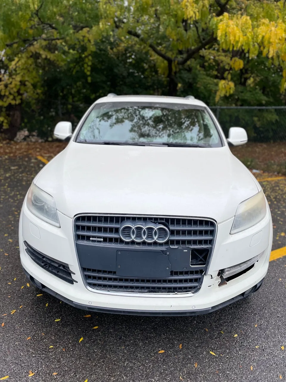 Audi Q7 2009 photo 3