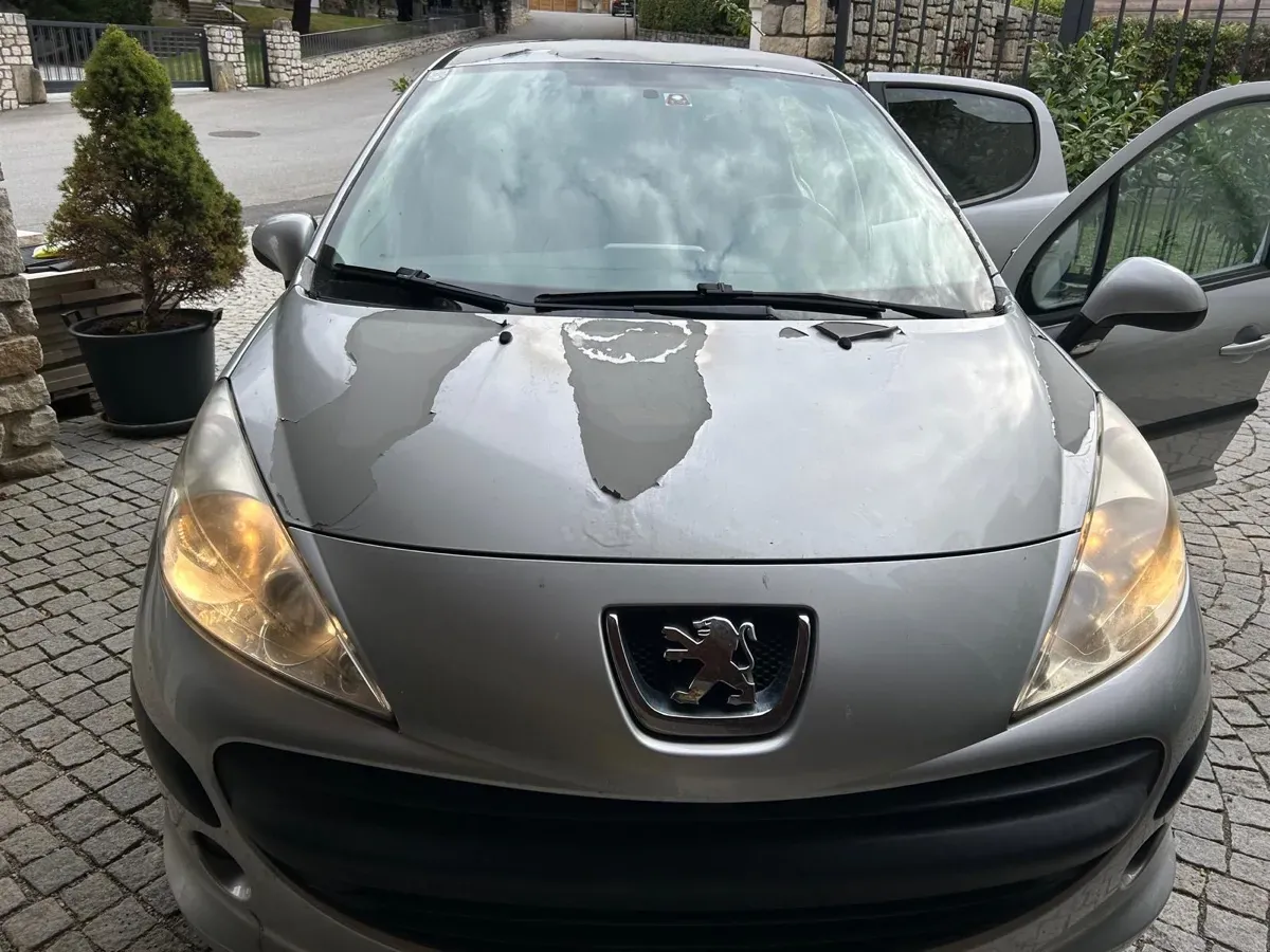 Peugeot 207 2007 photo 3