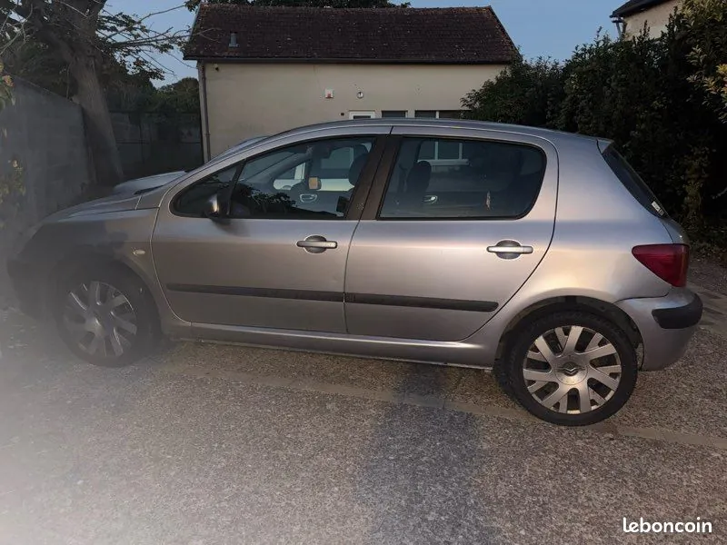 Peugeot 307 2004 photo 3