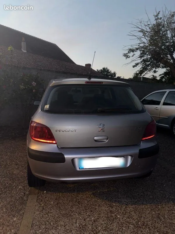 Peugeot 307 2004 photo 2
