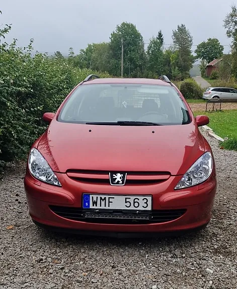 Peugeot 307 2005 photo 2