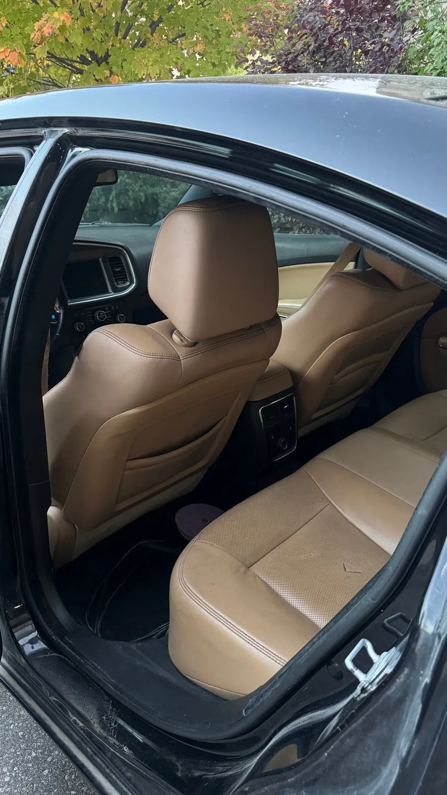 Dodge Charger 2014 photo 3