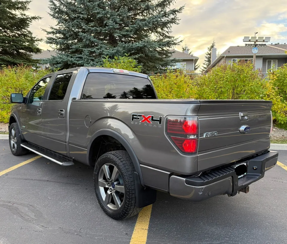 Ford F-150 2011 photo 3