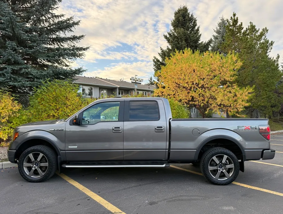Ford F-150 2011 photo 2