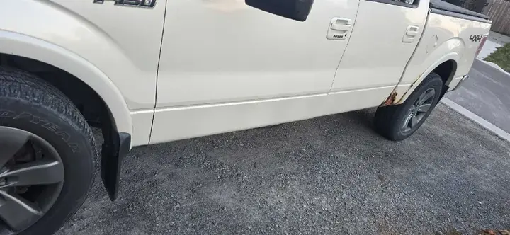 Ford F-150 2009 photo 2