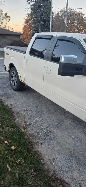 Ford F-150 2009 photo 3