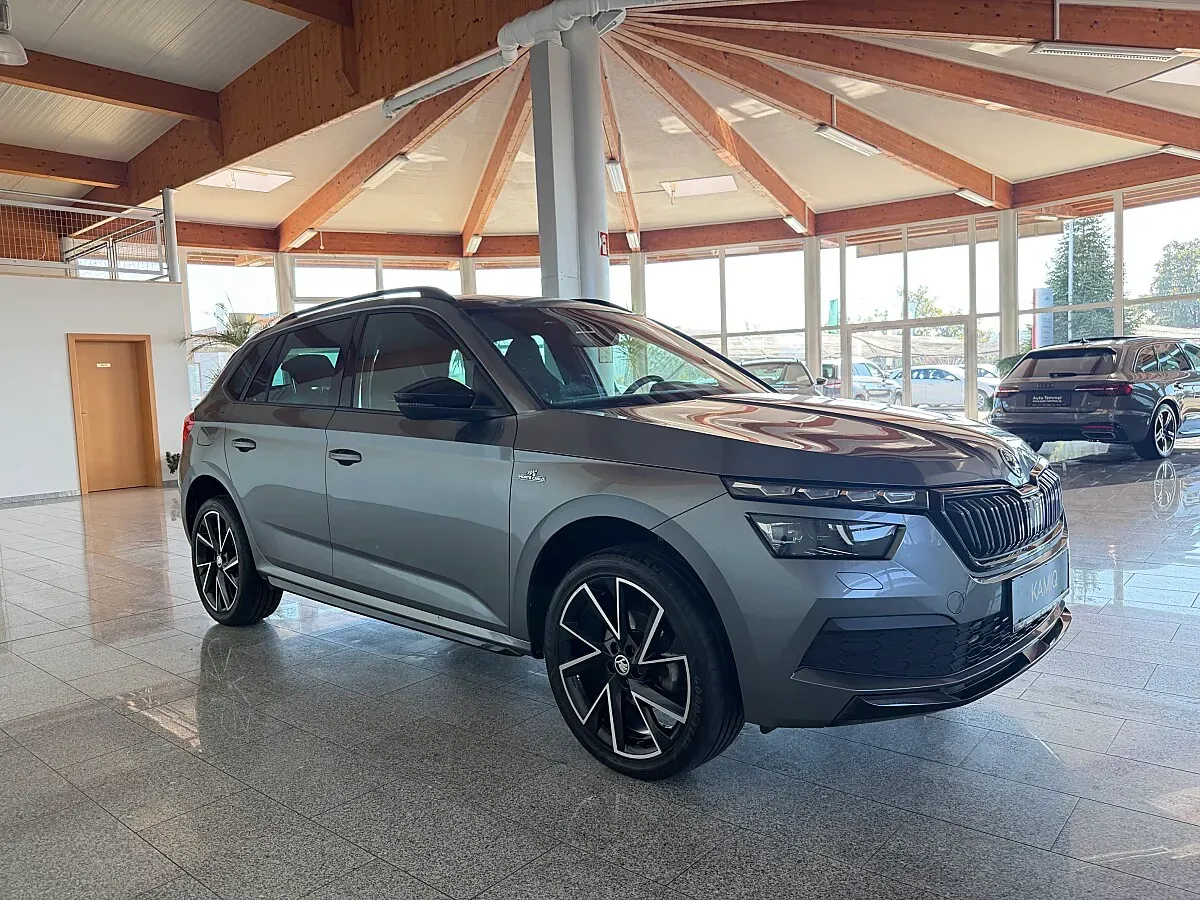 Skoda Kamiq 2022 photo 3