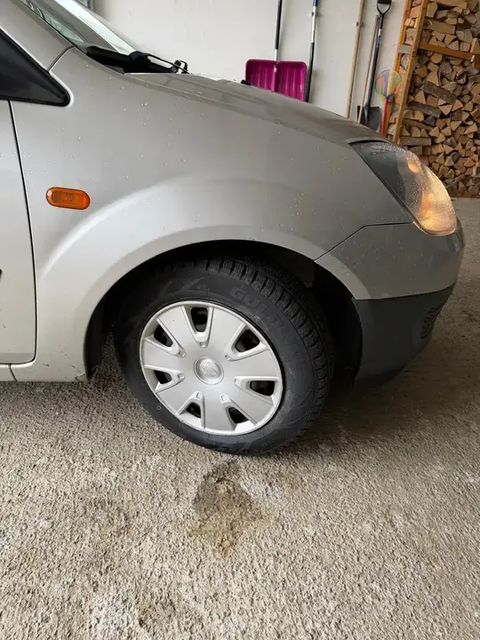 Ford Fiesta 2006 photo 2