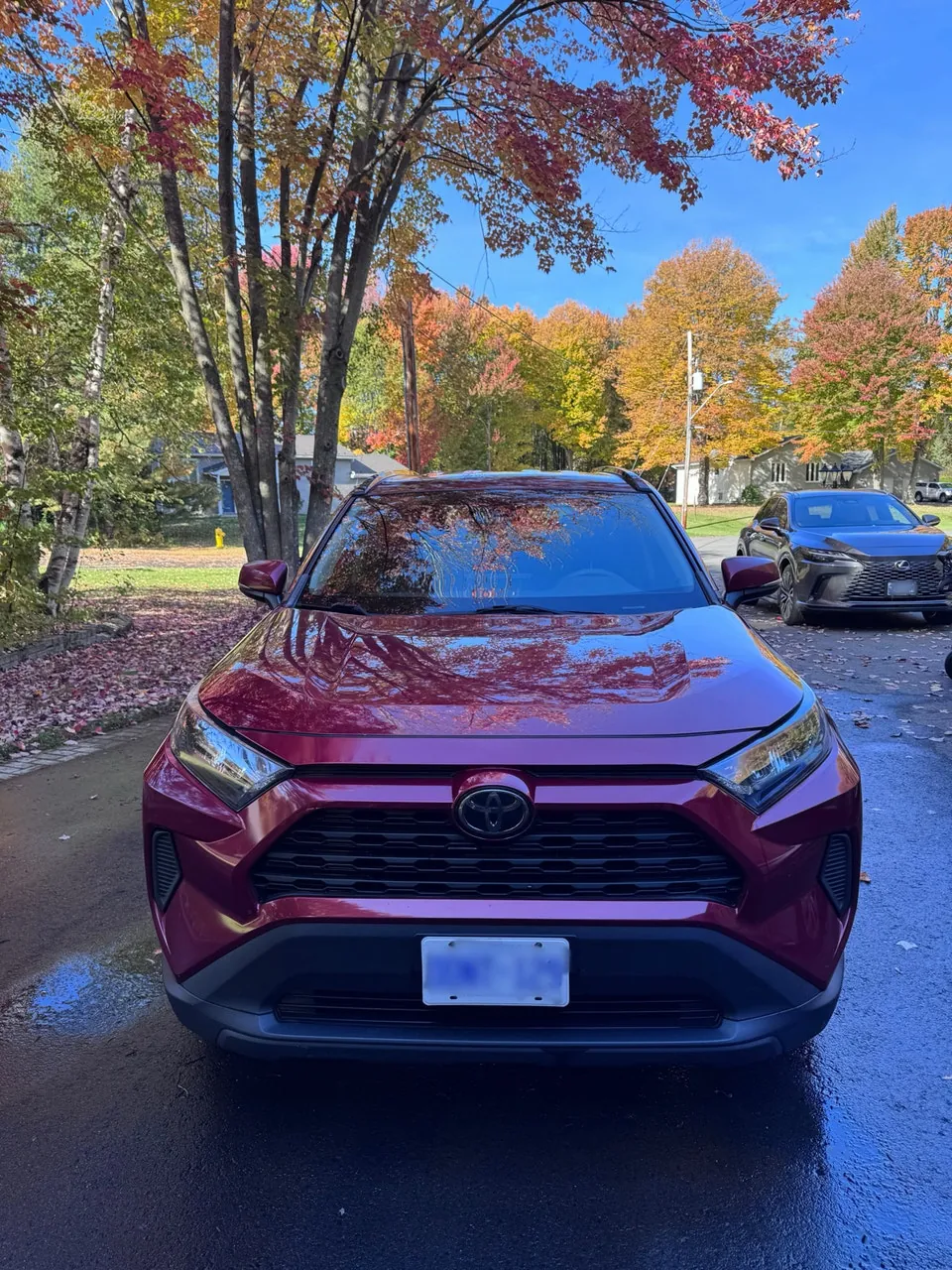Toyota Rav4 2019 photo 3