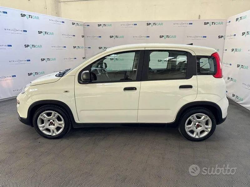 Fiat Panda 2024 photo 2