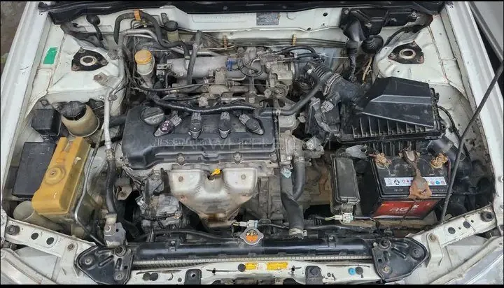 Nissan Sunny