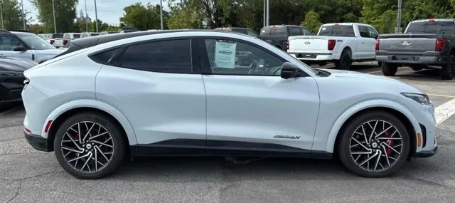 Ford Mustang Mach-E 2022 photo 3