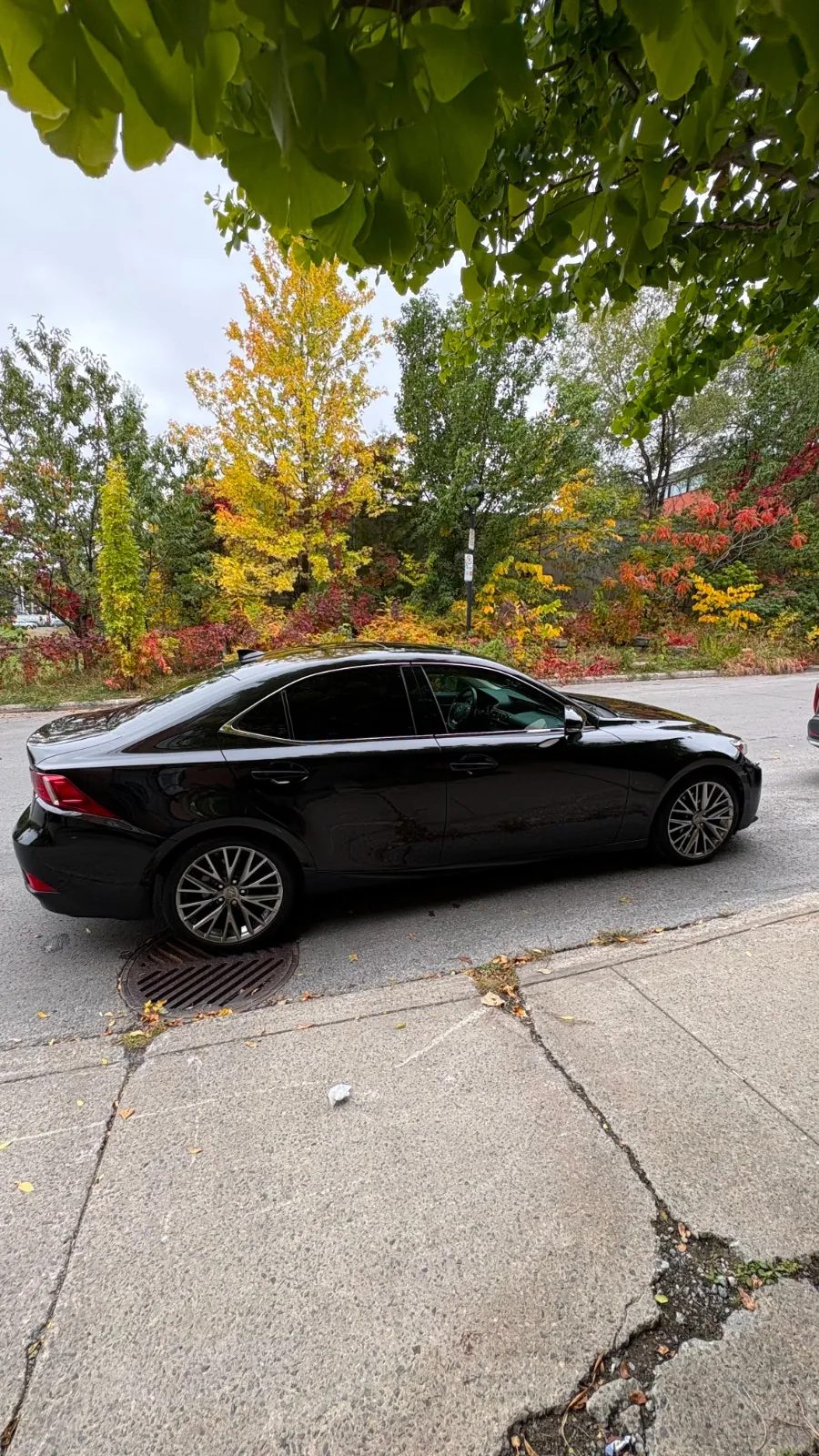 Lexus Is 250 2015 photo 4