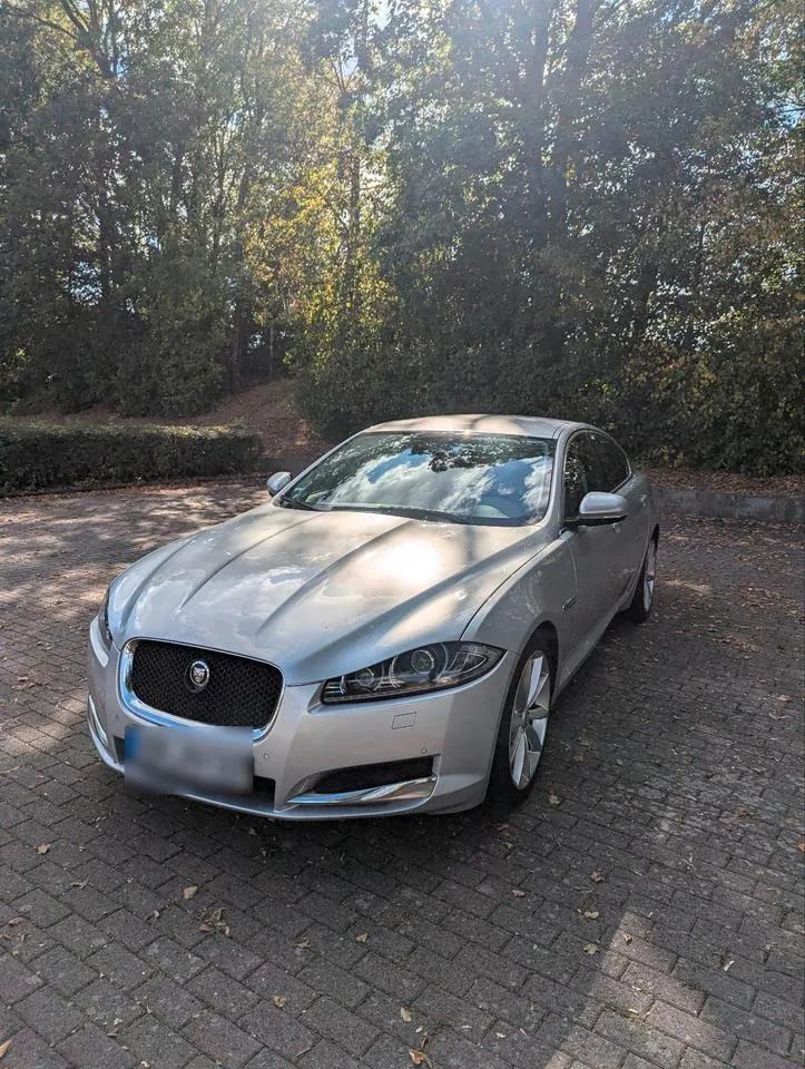 Jaguar Xf