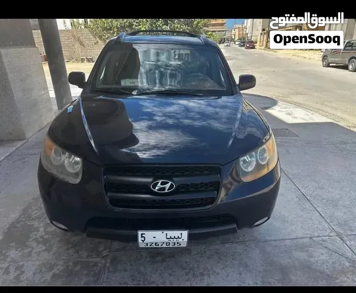 Hyundai Santa Fe 2007 photo 2