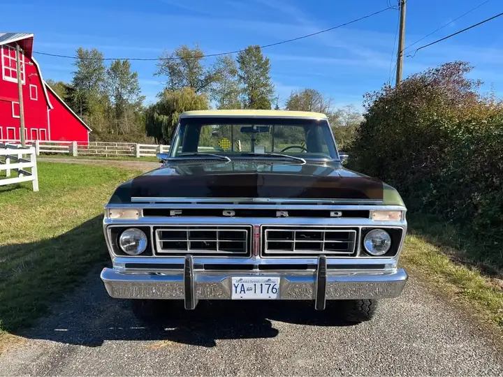 Ford F250 1976 photo 3