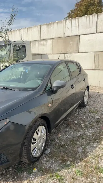 Seat Ibiza 2009 photo 2