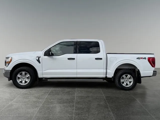 Ford F-150 2021 photo 2