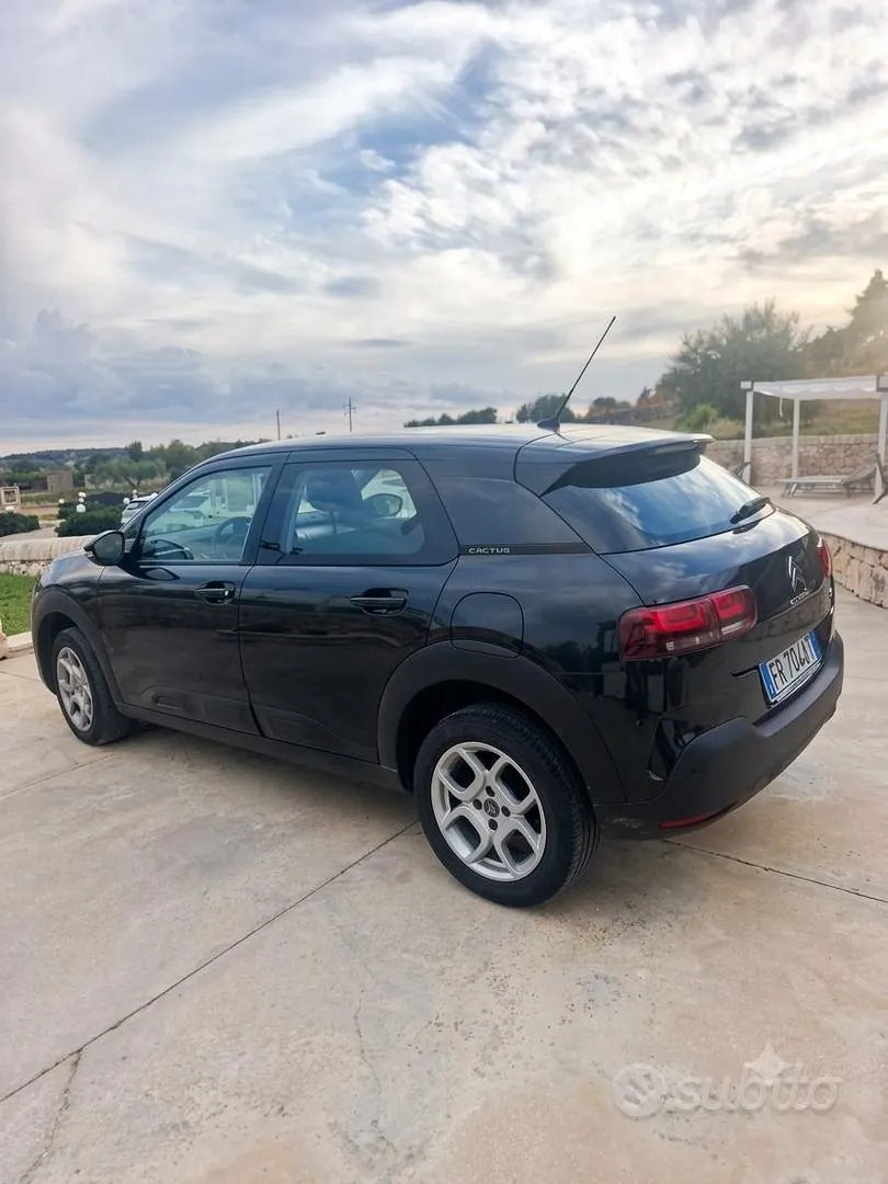 Citroen C4 Cactus 2018 photo 4