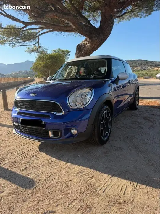 Mini Paceman