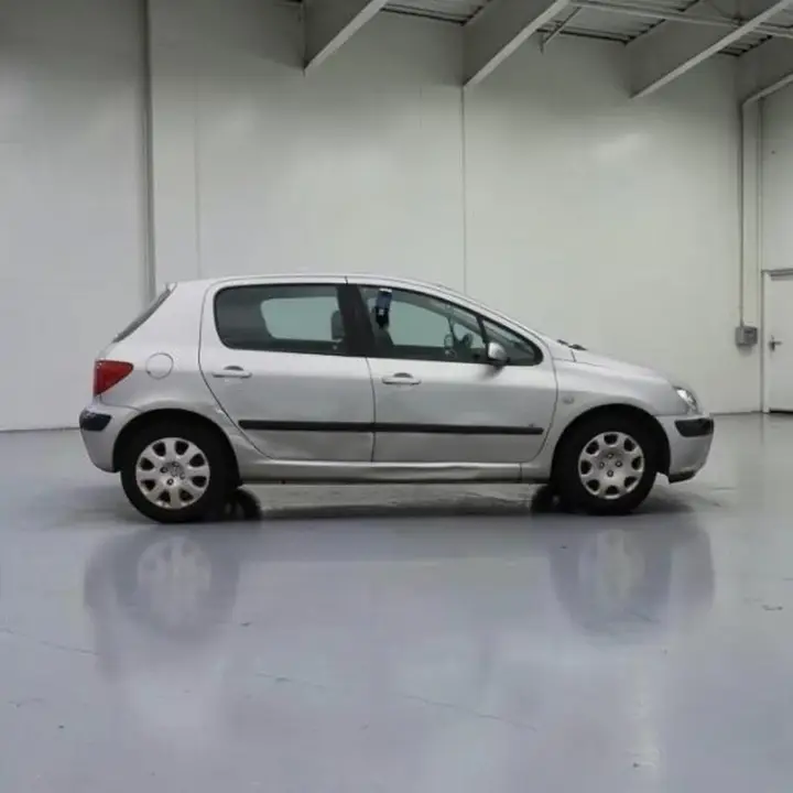 Peugeot 307 2002 photo 2